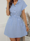 Striped shirt-neck mini Dress